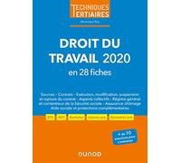 Droit du travail 2020 en 28 fiches (2020)