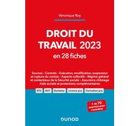 Droit du travail 2023 en 28 fiches (2023)