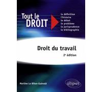 Droit du travail. 2e édition - Le Bihan-Guenole - Ellipses - broché - Etude