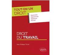 Droit du travail Jean-Philippe Tricoit (Auteur)