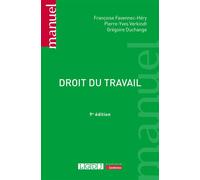 Droit du travail - Pierre-Yves Verkindt - Lgdj - broché - Manuel