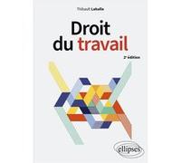 Droit du travail Thibault Lahalle (Auteur)