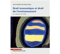 Droit économique et droit de l'environnement Marcel Sousse (Auteur)
