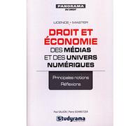 Droit et économie des médias et des univers numériques: Licence - master - principales notions réflexions