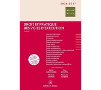 Droit Et Pratique Des Voies D'exécution