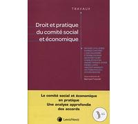 droit et pratique du comite social et economique