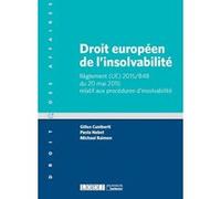 Droit europeen de l'insolvabilite Paola Nabet (Auteur), Gilles Cuniberti (Auteur)
