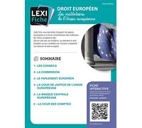 Droit européen, Les institutions de l'Union européenne