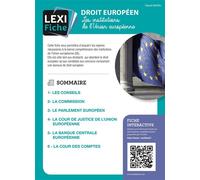 Droit européen, Les institutions de l'Union européenne