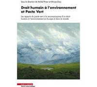 Droit humain à l'environnement et pacte vert Michel Prieur (Auteur)