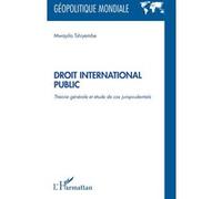 Mwayila Tshiyembe – Droit international public : Théorie générale et étude de cas jurisprudentiels