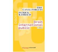 Droit international public - Patrick Rambaud - Flammarion - Poche - Etude
