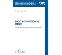 Droit international public: Théorie générale et étude de cas jurisprudentiels