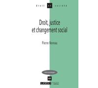 Droit, justice et changement social - Pierre Noreau - Lgdj - broché - Etude