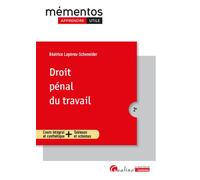 Droit pénal du travail - Béatrice Lapérou-Scheneider - Gualino Eds - broché - Etude