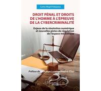 Droit Pénal Et Droits De L'homme À L'épreuve De La Cybercriminalité - Enjeux De La Révolution Numérique Et Nouvelles Pistes De Régulation De L'espace Médiatique