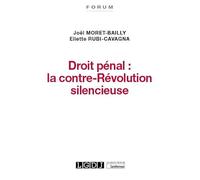 Droit pénal : la contre-Révolution silencieuse (2021)
