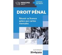 Droit Pénal - L'essentiel De La Licence En Cartes Mentales