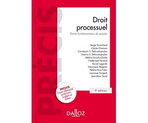 Droit processuel: Droits fondamentaux du procès