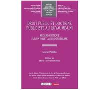 Droit Public Et Doctrine Publiciste Au Royaume-Uni - Regard Critique Sur Un Objet À (Re)Construire
