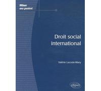 Droit Social International