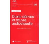 Droits Dérivés Et Oeuvre Audiovisuelle