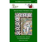 Droits des femmes et révolutions arabes - touzeil-divina m. Gaté j. - Epitoge - broché - Revue