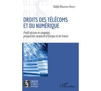 Droits des télécoms et du numérique Profil africain et congolais, prospective comparée d'Europe et de France - Kodjo Ndukuma Adjayi - L'harmattan - broché - Etude