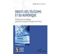 Droits des télécoms et du numérique – Profil africain et congolais, prospective Europe-France