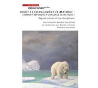 Droits et changement climatique : comment répondre à l'urgence climatique ? Marta Torre-Schaub (Auteur), Blanche Lormeteau (Auteur)