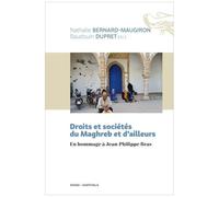 Droits Et Sociétés Du Maghreb Et D'ailleurs - En Hommage À Jean-Philippe Bras