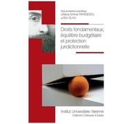 Droits Fondamentaux, Équilibre Budgétaire Et Protection Juridictionnelle
