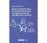 Droits fondamentaux et constitutions sous le regard universel des docteurs en droit Jacques Mestre (Auteur), Guillaume Maire (Auteur), David Richard (Auteur)