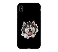 Drôle Alaska Malamute Regarder Mignon Chien Amant Maman Papa Coque pour iPhone XS Max