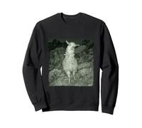 Drôle Caméra Nocturne Lama Sweatshirt