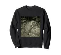 Drôle Caméra Nocturne Porc-Épic Sweatshirt