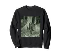 Drôle Caméra Nocturne Tapir Sweatshirt
