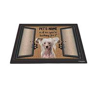 Drôle Chinois À Crête, C'est Moi Que Tu Cherches Tapis De Bain Antidérapant Paillasson De Bienvenue Facile À Nettoyer Tapis De Porte pour D'Entrée Intérieur Salon 40X60Cm