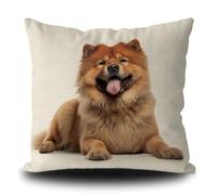 Drôle Chow Chow Housse de Coussin Chien Chiot Art Housse de Coussin Décorative pour Canapé Lit Amoureux Cadeau Canevas Blanc 50 x 50 cm Double face, Style 3