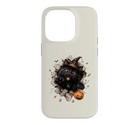 Drôle de Chat Noir sorcière Halloween Bonbon évasion Malice Coque pour iPhone 14 Pro