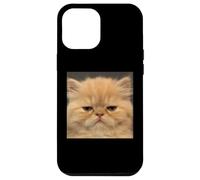 Drôle de Visage de Chat Persan déçu Coque pour iPhone 12 Pro Max