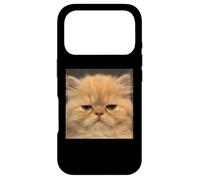 Drôle de Visage de Chat Persan déçu Coque pour iPhone 17 Pro