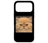 Drôle de Visage de Chat Persan déçu Coque pour iPhone 17 Pro Max