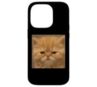 Drôle de Visage de Chaton Persan endormi Meme Flou Photo Coque pour iPhone 14 Pro