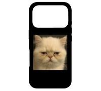 Drôle Fatigué Persan Chat Chaton Visage Meme Photo Coque pour iPhone 17 Pro