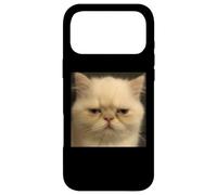 Drôle Fatigué Persan Chat Chaton Visage Meme Photo Coque pour iPhone 17 Pro Max
