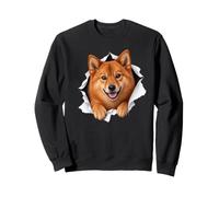Drôle Finlandais Spitz Peeking Mignon Chien Amant Maman Papa Sweatshirt