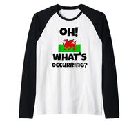 Drôle gallois qui dit Dragon du Pays de Galles Oh! Qu'est-ce qui se passe ? Argot Manche Raglan