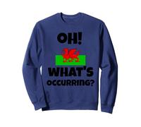 Drôle gallois qui dit Dragon du Pays de Galles Oh! Qu'est-ce qui se passe ? Argot Sweatshirt