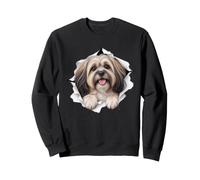 Drôle Lhassa Apso Jetez Un Coup d'œil Mignon Amoureux des Chiens Maman Papa Sweatshirt